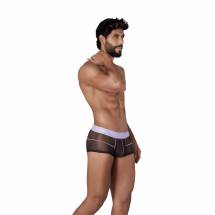 Черные сексуальные полупрозрачные трусы-хипсы Hunch Trunks Clever Masculine Underwear