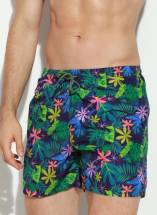 Мужские пляжные шорты с тропическим принтом Jolidon