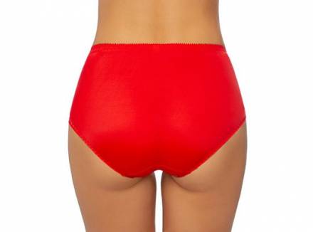 Высокие трусики с кружевными вставками Vintage Fluide