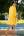 Воздушная пляжная туника-рубашка свободного кроя Laete