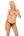Открытые трусики Nishanna LivCo Corsetti Fashion