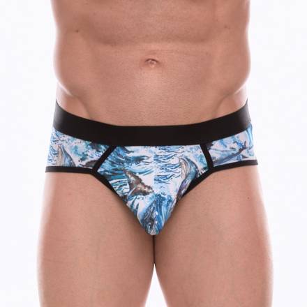 Мужские трусы-стринги с принтом в виде китов в волнах Don Moris