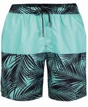 Мужские шорты для плавания с принтом в виде пальмовых листьев Doreanse Doreanse