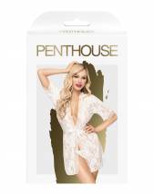 Полупрозрачный ажурный пеньюар Hypnotic power в комплекте с трусиками Penthouse
