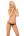 Открытые трусики Lottea LivCo Corsetti Fashion