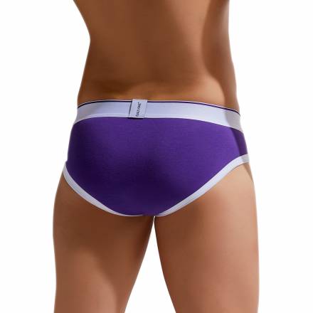 Хлопковые трусы-брифы Colours of the Planet Brief Gauvine