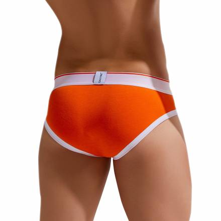 Хлопковые трусы-брифы Colours of the Planet Brief Gauvine