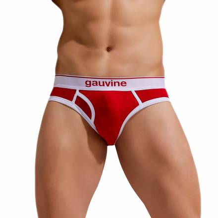 Хлопковые трусы-брифы Colours of the Planet Brief Gauvine