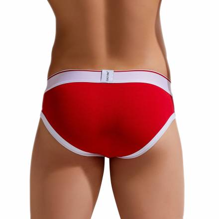 Хлопковые трусы-брифы Colours of the Planet Brief Gauvine