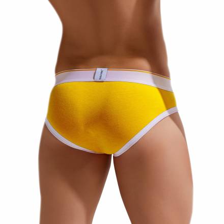 Хлопковые трусы-брифы Colours of the Planet Brief Gauvine